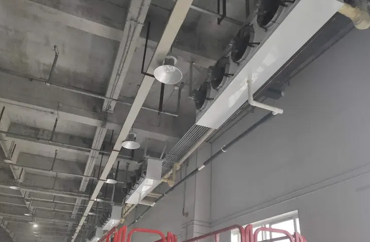 今年冷庫前景和利潤如何？