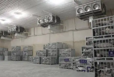 速凍冷庫造價 速凍冷庫造價