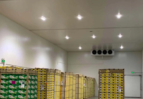 氣調(diào)冷庫(kù) 氣調(diào)冷庫(kù)