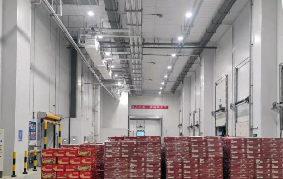 果蔬冷庫 果蔬冷庫