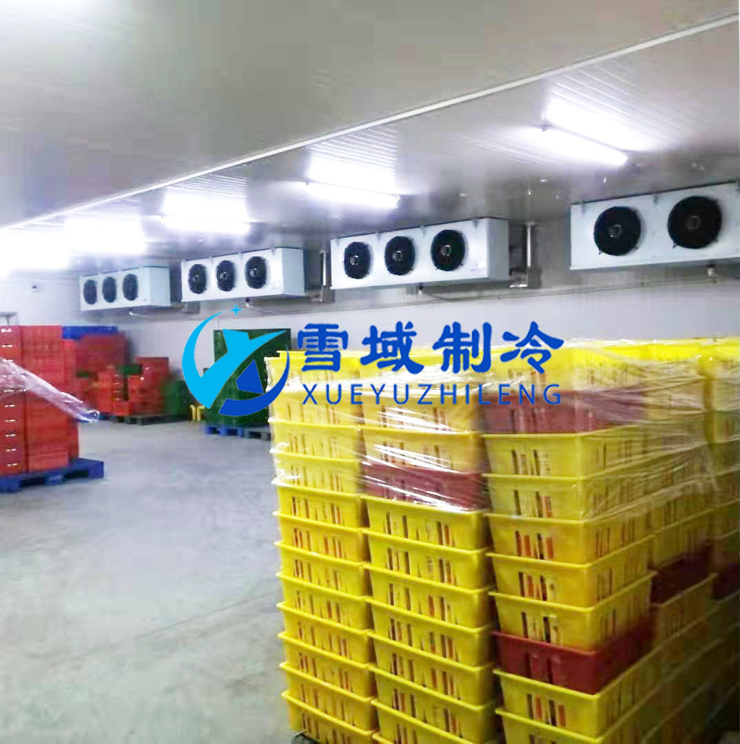 徐州衛(wèi)崗速凍冷庫現場圖片 徐州衛(wèi)崗速凍冷庫現場圖片