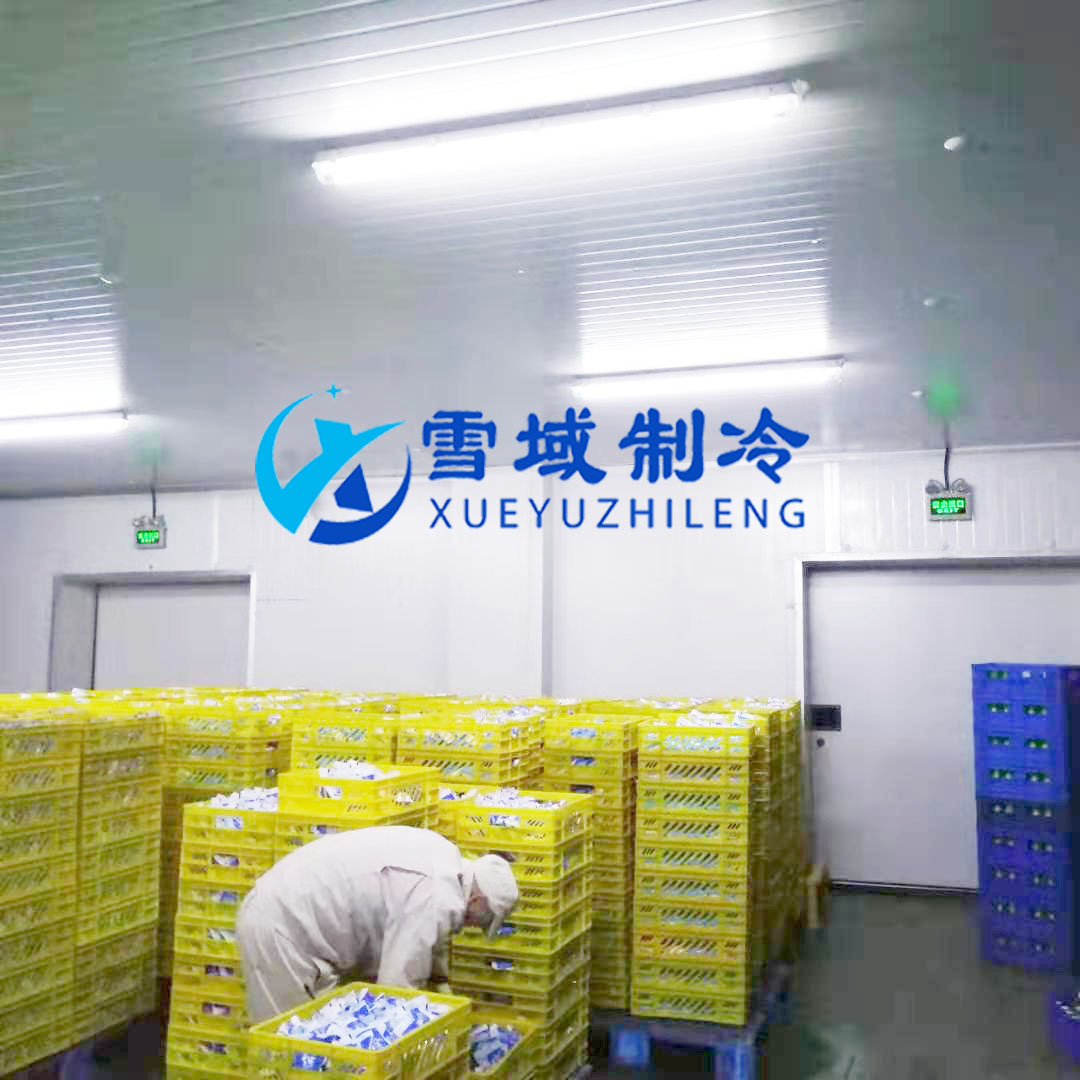 徐州衛(wèi)崗速凍冷庫現場圖片 徐州衛(wèi)崗速凍冷庫現場圖片