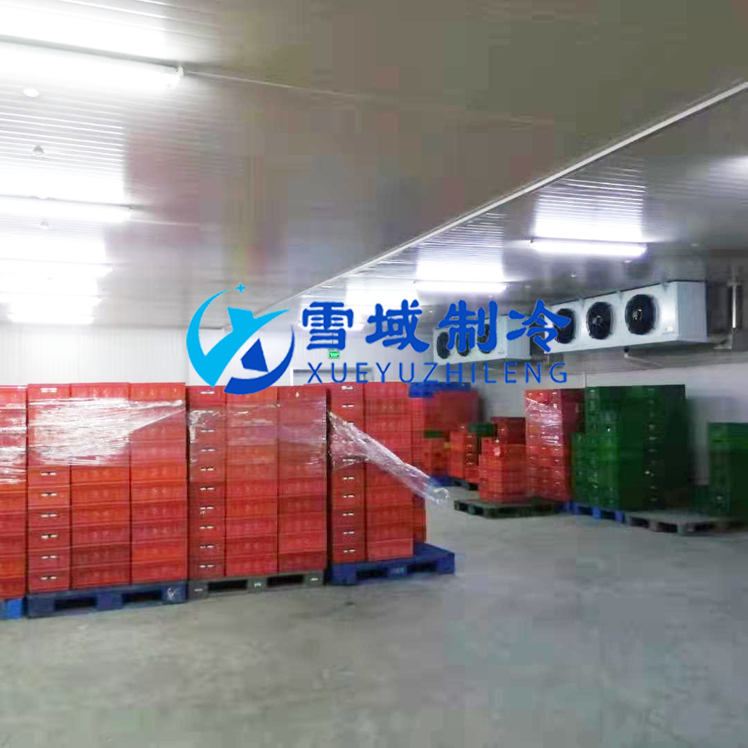 徐州衛(wèi)崗速凍冷庫現場圖片 徐州衛(wèi)崗速凍冷庫現場圖片