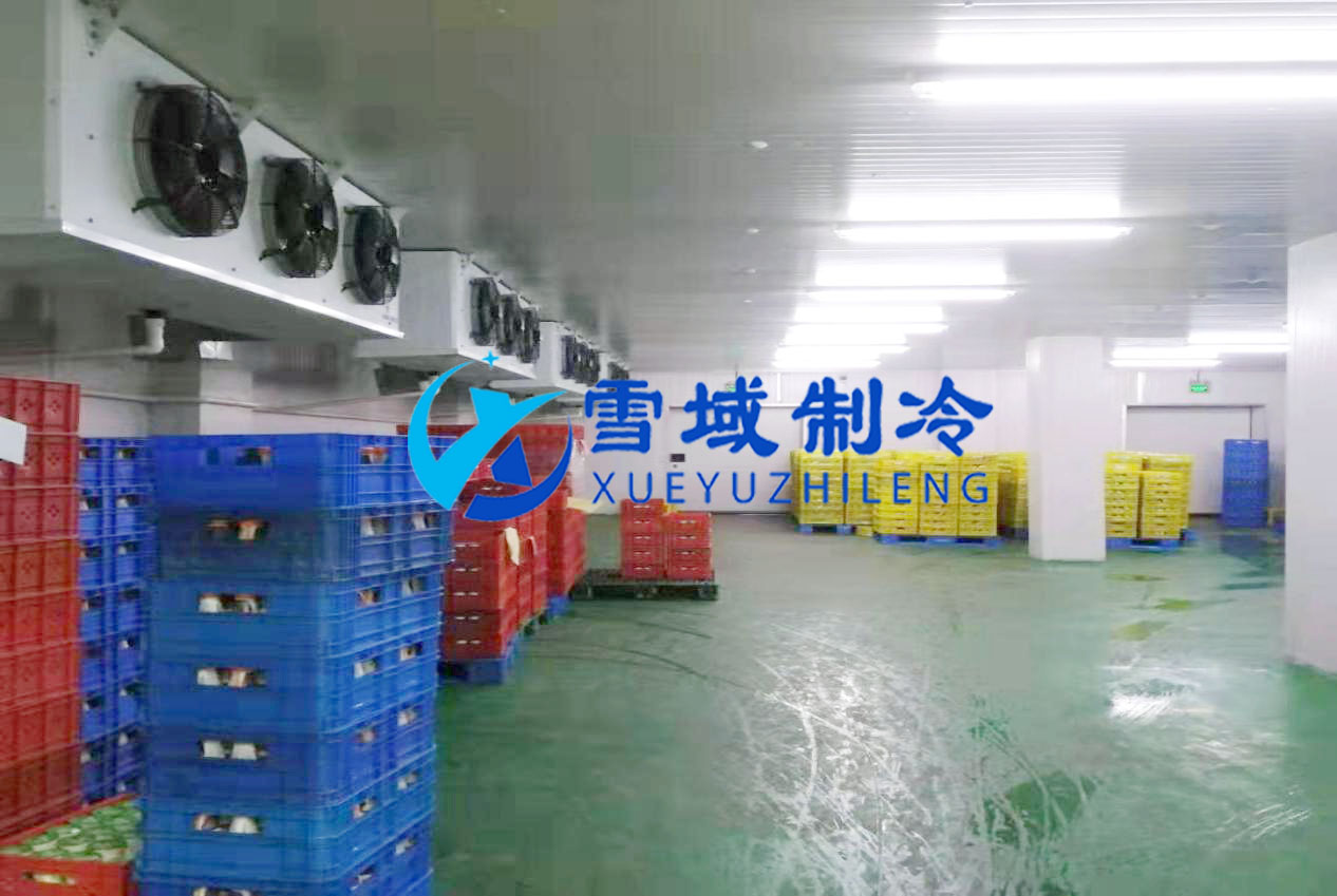 徐州衛(wèi)崗速凍冷庫現場圖片 徐州衛(wèi)崗速凍冷庫現場圖片