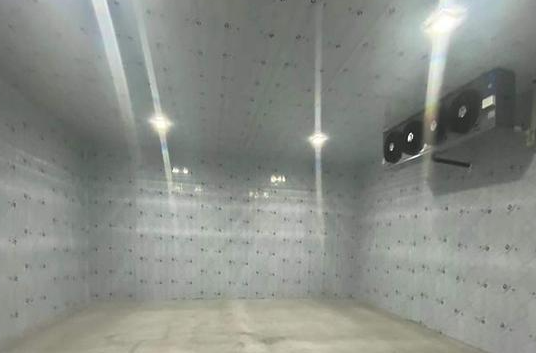 建造一個(gè)冷庫(kù)預(yù)計(jì)多少錢一平方