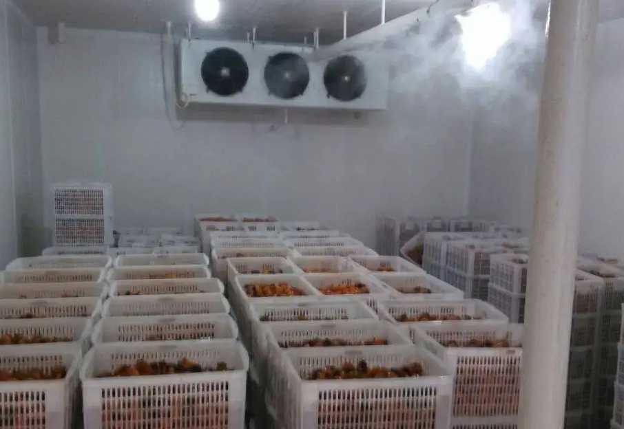 建造一個奇異果冷庫大約需要多少錢 建造一個奇異果冷庫大約需要多少錢