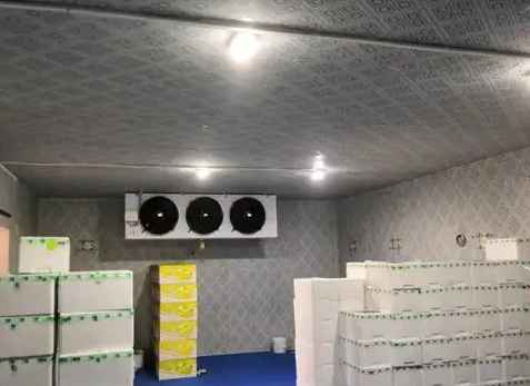 海鮮冷庫(kù) 海鮮冷庫(kù)