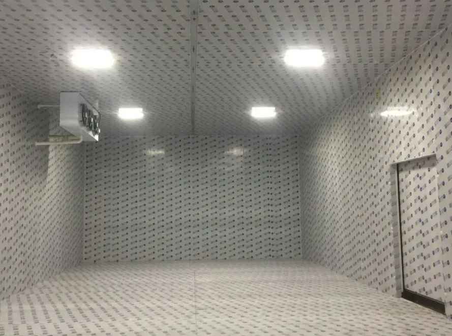 廣州冷庫(kù)建造公司哪家好一點(diǎn) 廣州冷庫(kù)建造公司哪家好一點(diǎn)