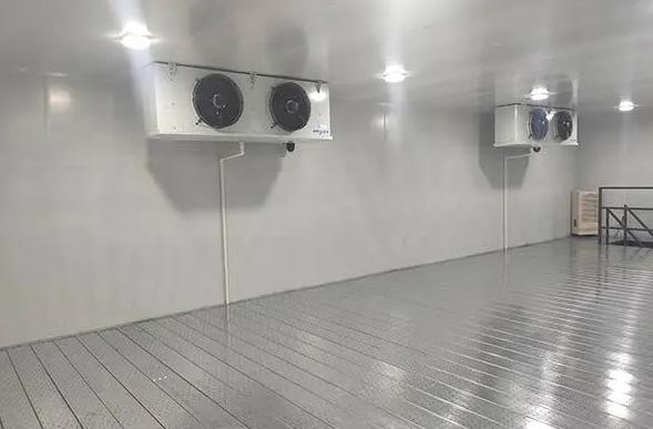 冷庫儲存什么盈利利潤大一些 冷庫儲存什么盈利利潤大一些