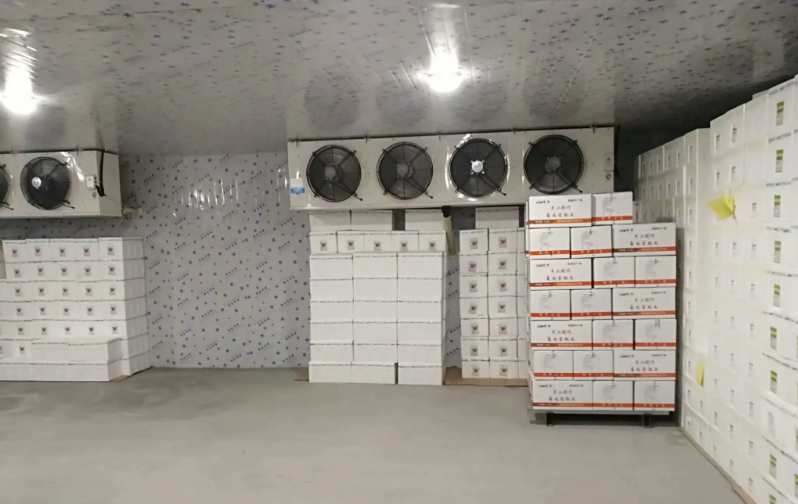 600平米果蔬冷庫方案設(shè)計(jì)理念