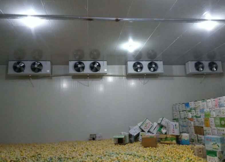 600平米果蔬冷庫方案設(shè)計(jì)理念