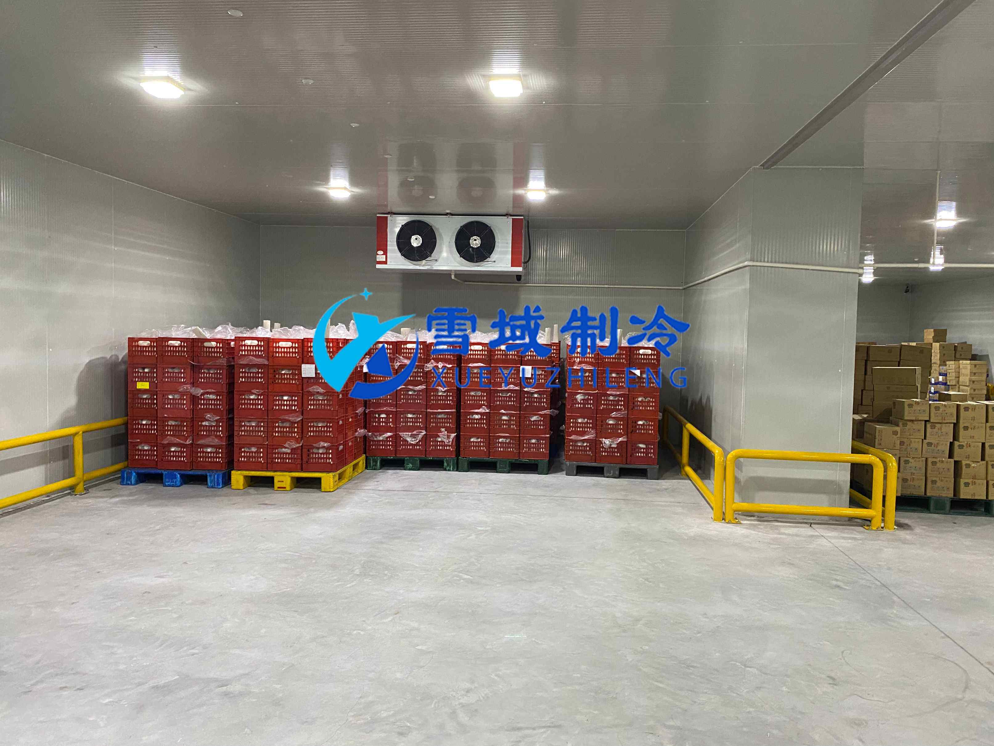 南京江寧速凍乳品冷庫現(xiàn)場圖片 南京江寧速凍乳品冷庫現(xiàn)場圖片