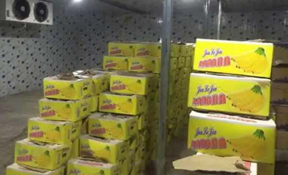 建造冷庫時地面該怎么處理 建造冷庫時地面該怎么處理