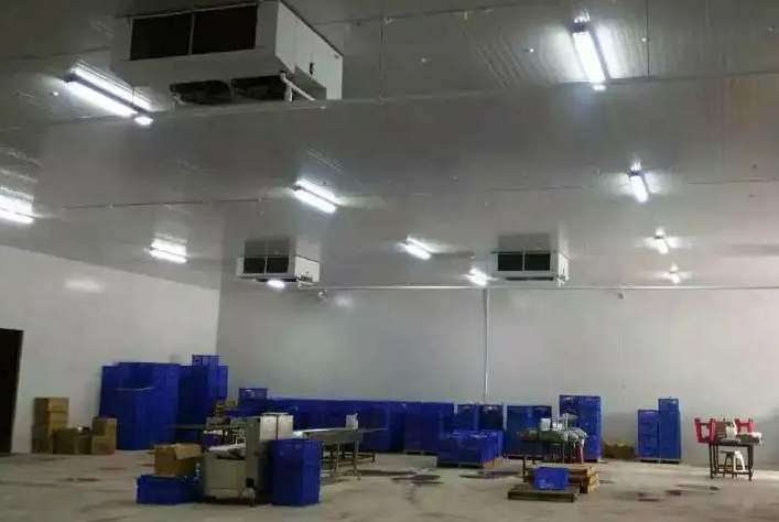 建一個(gè)冷庫需要多少錢一平方 建一個(gè)冷庫需要多少錢一平方