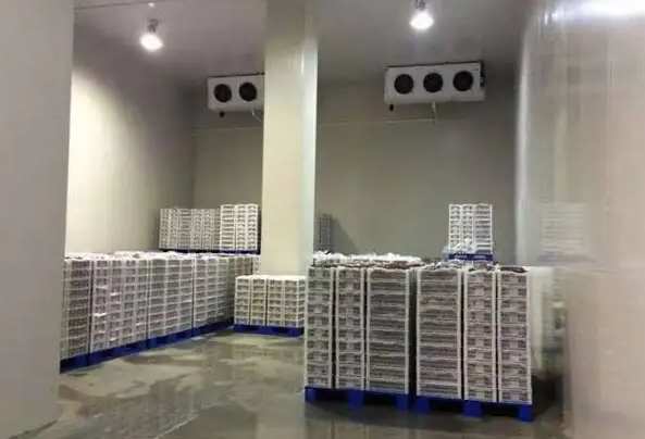 安裝500立方豬肉冷凍庫(kù)需要多少錢(qián)