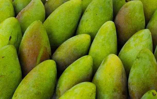 建造青芒果保鮮冷庫(kù)需要多少錢(qián) 建造青芒果保鮮冷庫(kù)需要多少錢(qián)