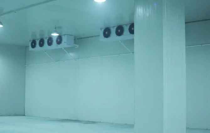 冷庫(kù)節(jié)能改造方案設(shè)計(jì) 冷庫(kù)節(jié)能改造方案設(shè)計(jì)