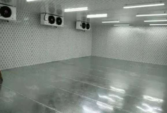 建50平米冷藏庫造價(jià)多少錢
