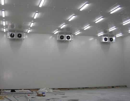 蔬菜氣調(diào)冷庫(kù)安裝多少錢(qián) 蔬菜氣調(diào)冷庫(kù)安裝多少錢(qián)