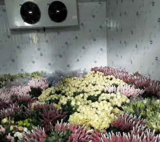 安裝一個(gè)花店冷庫大約需要多少錢 安裝一個(gè)花店冷庫大約需要多少錢