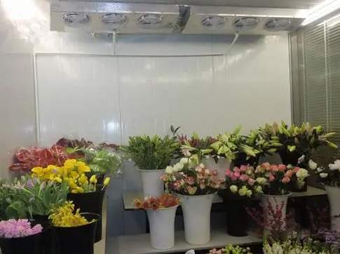 安裝一個(gè)花店冷庫大約需要多少錢 安裝一個(gè)花店冷庫大約需要多少錢