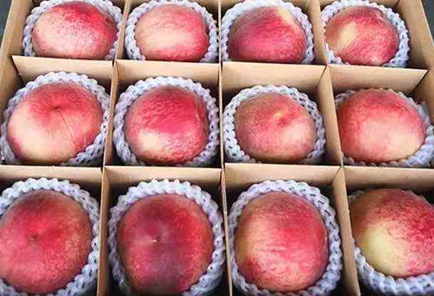 大批量桃子如何在保鮮冷庫(kù)中存儲(chǔ) 大批量桃子如何在保鮮冷庫(kù)中存儲(chǔ)