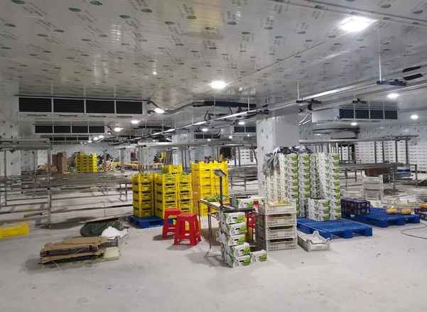 保鮮冷庫(kù)工程設(shè)計(jì)規(guī)范標(biāo)準(zhǔn)要求 保鮮冷庫(kù)工程設(shè)計(jì)規(guī)范標(biāo)準(zhǔn)要求