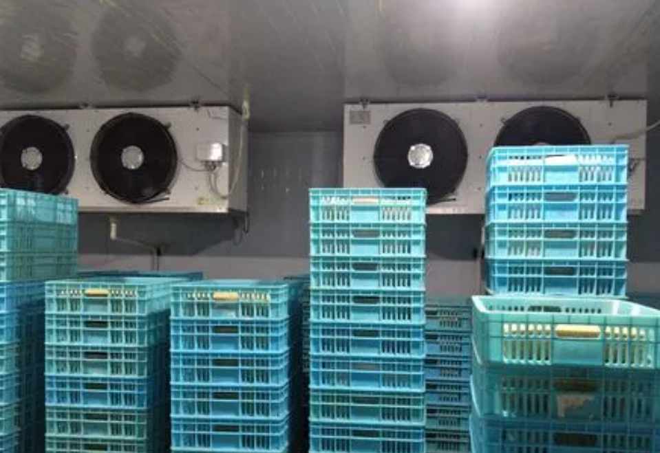 保鮮冷庫(kù)工程設(shè)計(jì)規(guī)范標(biāo)準(zhǔn)要求 保鮮冷庫(kù)工程設(shè)計(jì)規(guī)范標(biāo)準(zhǔn)要求