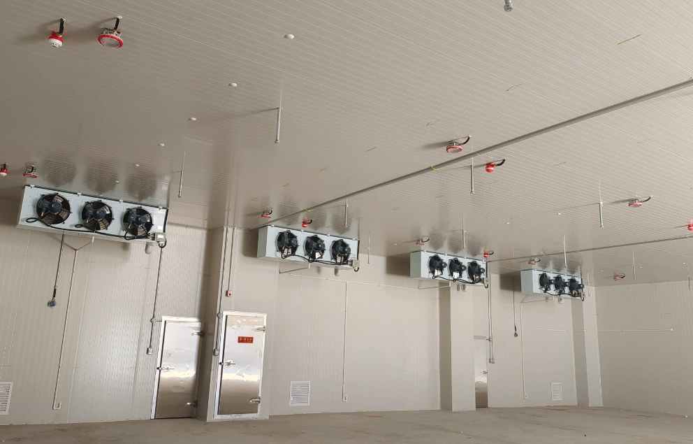 保鮮蔬菜冷庫造價(jià)多少一立方 保鮮蔬菜冷庫造價(jià)多少一立方