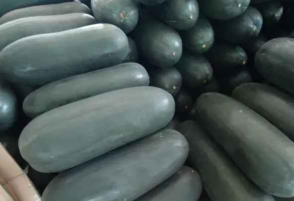 安裝30立方冬瓜冷庫(kù)多少錢(qián)