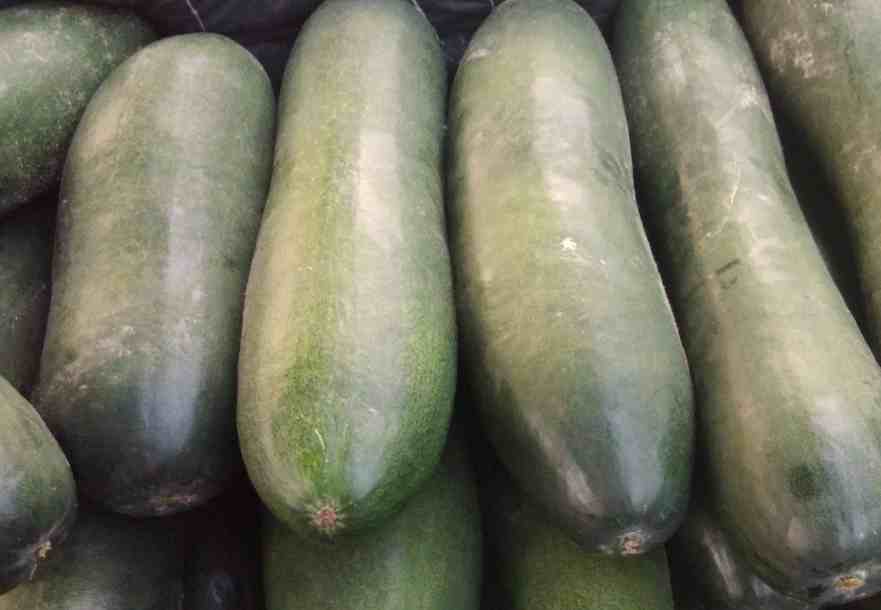 安裝30立方冬瓜冷庫(kù)多少錢(qián)