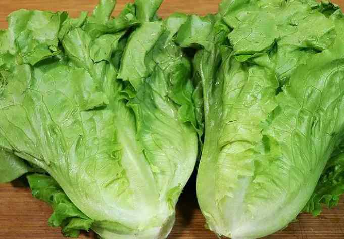 生菜在冷庫中該怎么保存時(shí)間長 生菜在冷庫中該怎么保存時(shí)間長