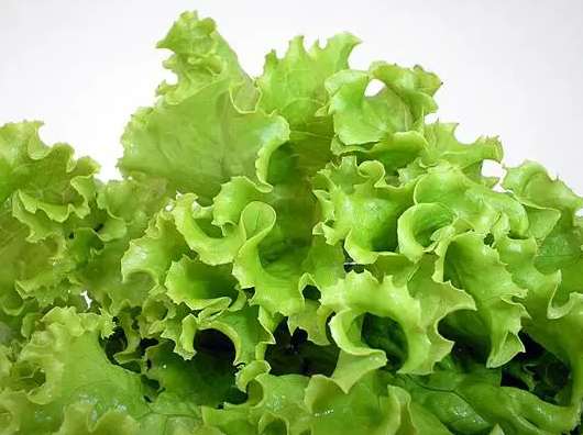 冷庫蔬菜保鮮多少度？