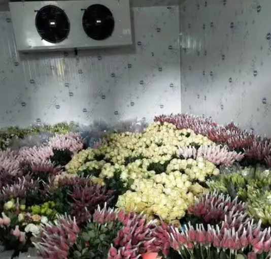冷庫(kù)鮮花老是發(fā)霉怎么回事 冷庫(kù)鮮花老是發(fā)霉怎么回事
