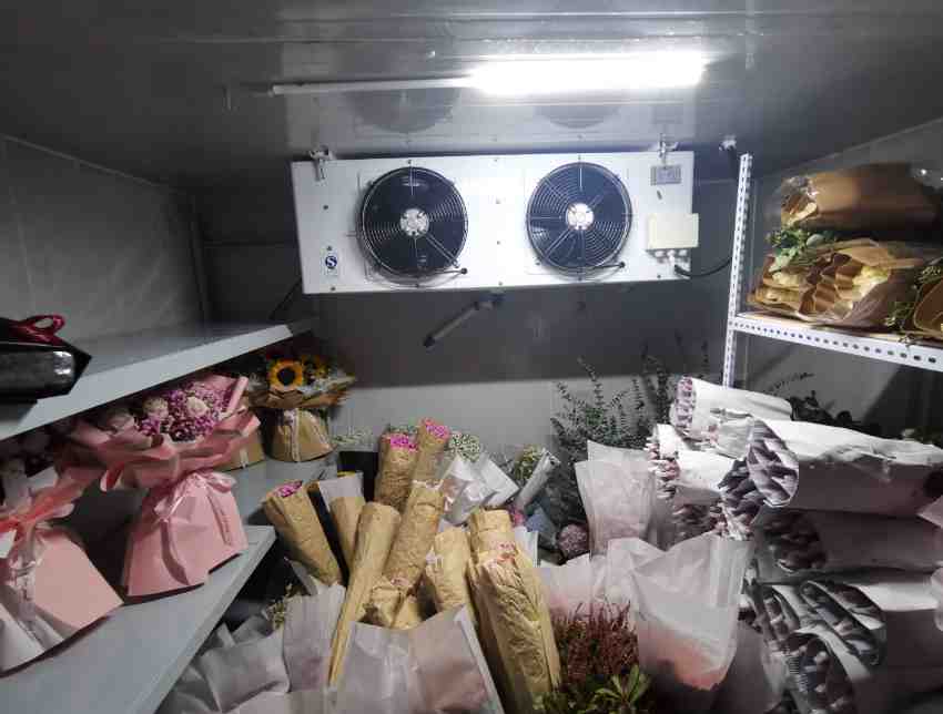 冷庫(kù)鮮花老是發(fā)霉怎么回事 冷庫(kù)鮮花老是發(fā)霉怎么回事