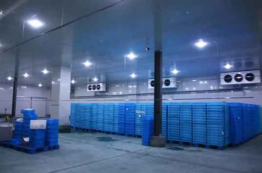  建一個(gè)1500平米大型冷庫(kù)要多少錢