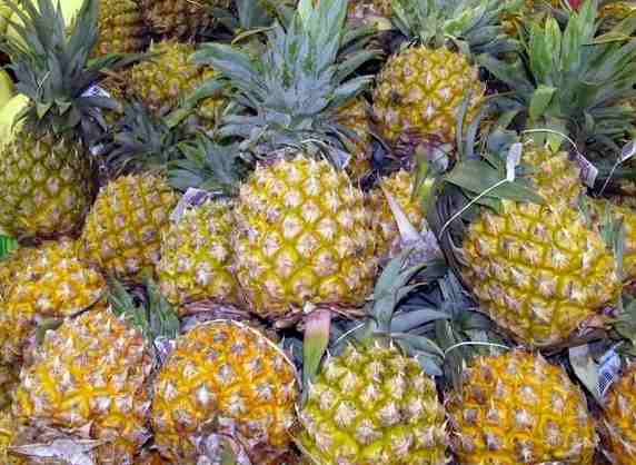 安裝菠蘿氣調(diào)冷庫(kù)多少錢 安裝菠蘿氣調(diào)冷庫(kù)多少錢