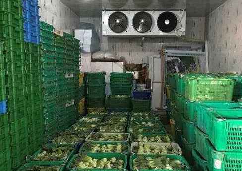 果蔬氣調(diào)冷庫(kù)建造廠家挑選 果蔬氣調(diào)冷庫(kù)建造廠家挑選