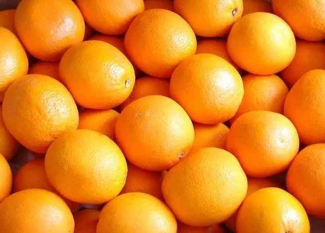 橙子氣調(diào)冷庫能保鮮多久 橙子氣調(diào)冷庫能保鮮多久