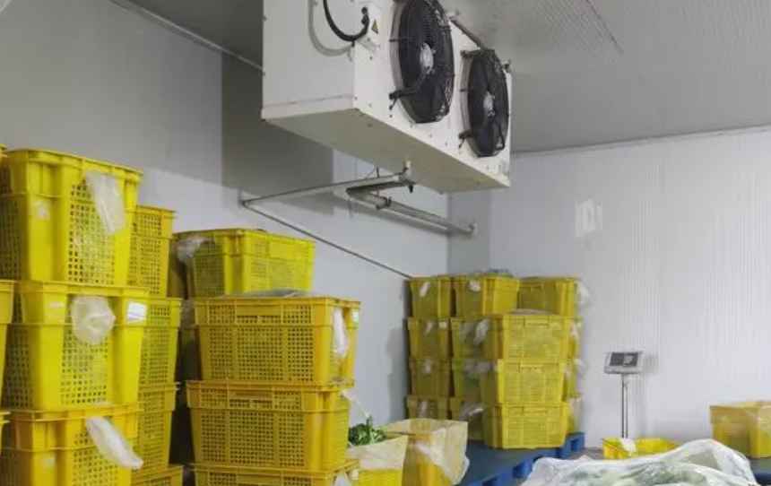 果蔬保鮮冷庫(kù)安裝有哪幾點(diǎn)注意事項(xiàng) 果蔬保鮮冷庫(kù)安裝有哪幾點(diǎn)注意事項(xiàng)