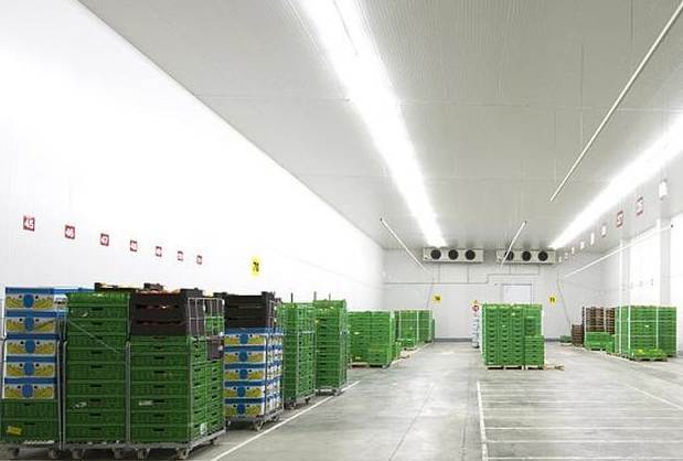 香蕉冷庫室催熟溫度是多少度 香蕉冷庫室催熟溫度是多少度