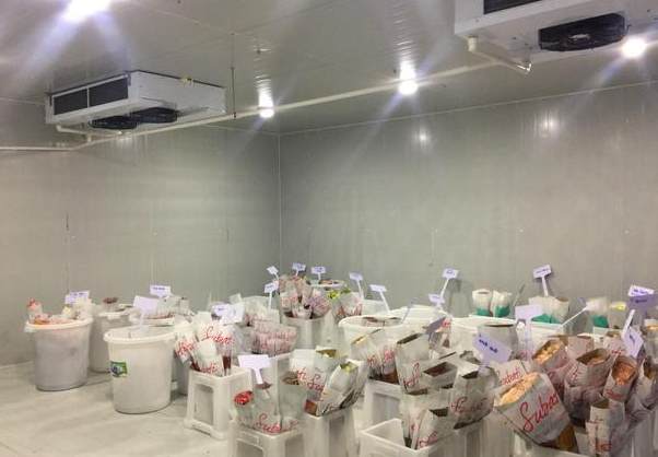 中溫冷庫(kù)工程設(shè)計(jì)預(yù)算多少錢(qián)