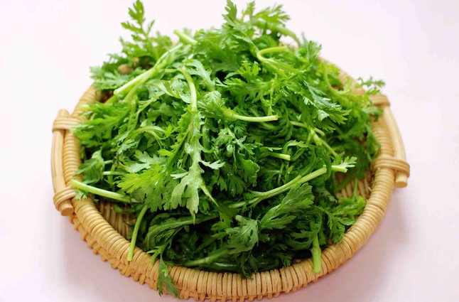 茼蒿冷庫保鮮儲(chǔ)存方法