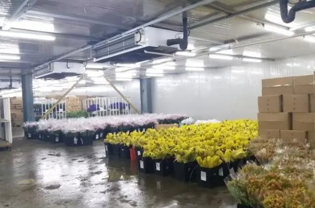 杭州冷庫(kù)安裝公司如何選擇