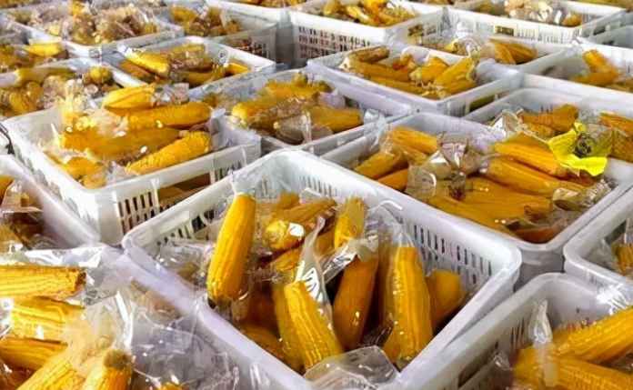 大量玉米除了冷庫保鮮儲存，還有其他方法嗎