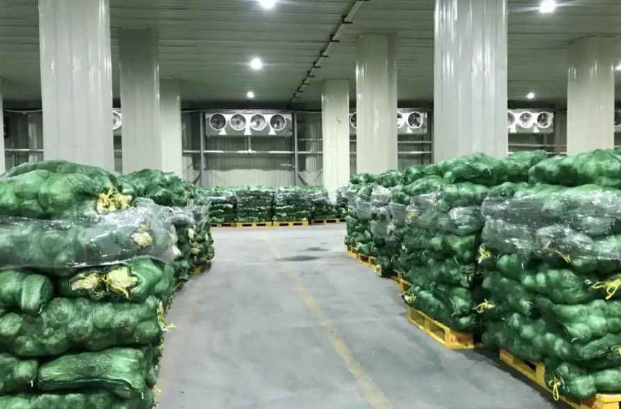 大型蔬菜冷庫(kù)造價(jià)多少一平方米 大型蔬菜冷庫(kù)造價(jià)多少一平方米