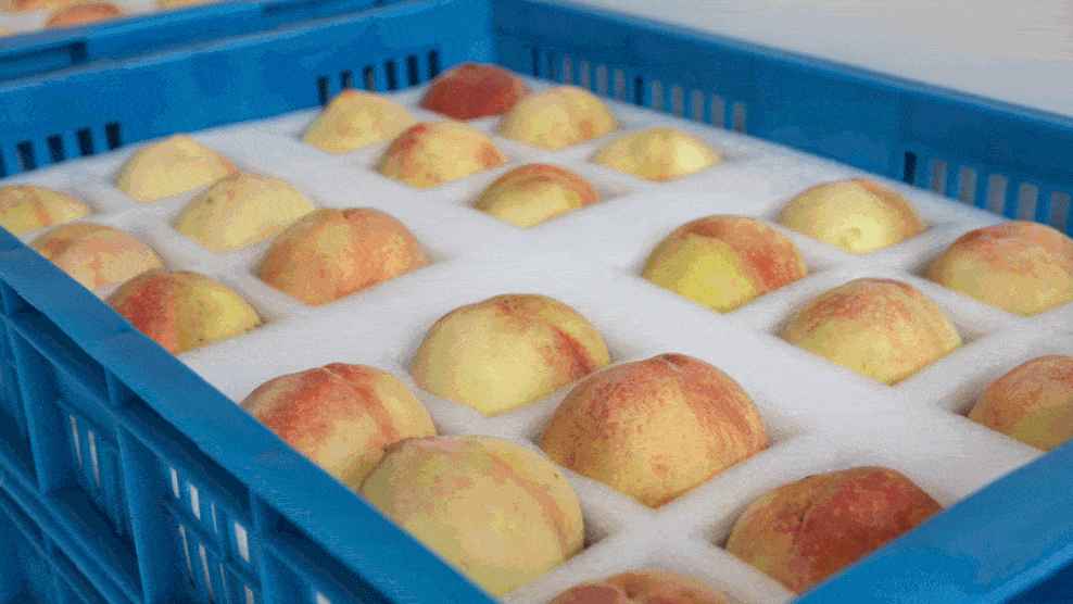 桃子冷庫的建造費(fèi)用是多少錢 桃子冷庫的建造費(fèi)用是多少錢