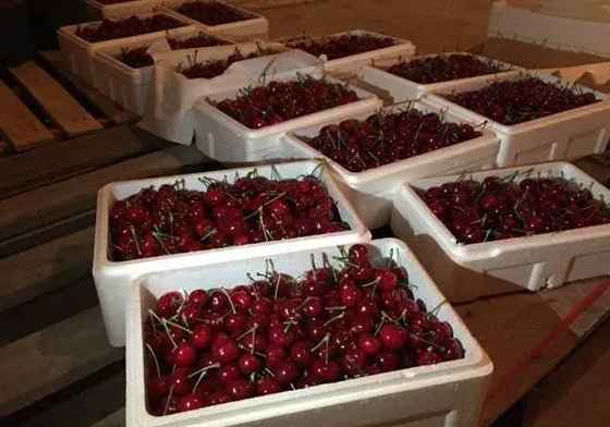 建600平米櫻桃氣調(diào)冷庫大概多少錢 建600平米櫻桃氣調(diào)冷庫大概多少錢