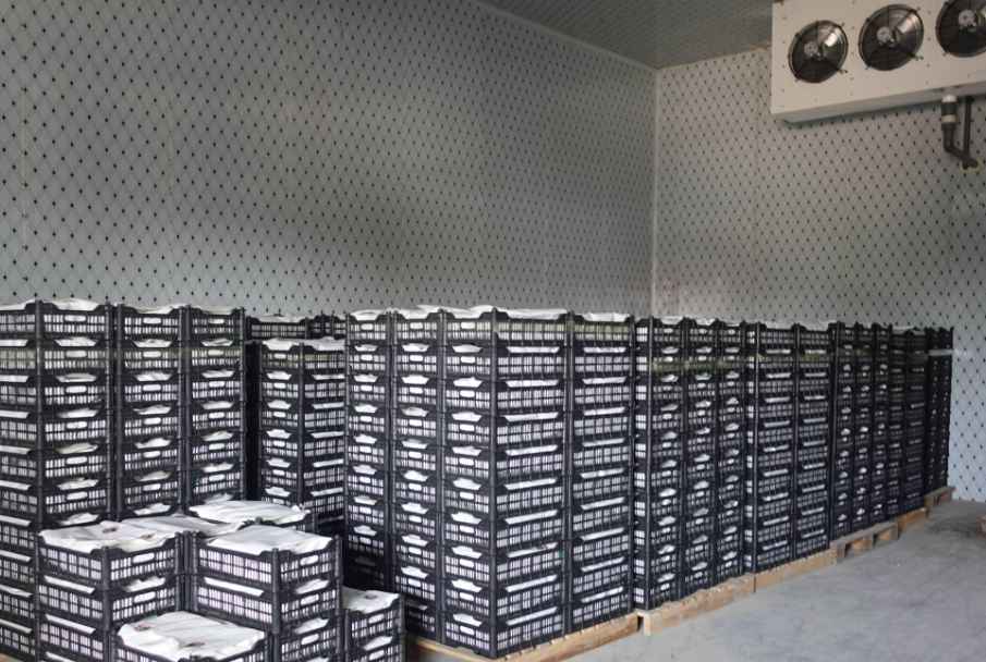 冷庫門密封效果維護(hù)和修理辦法？