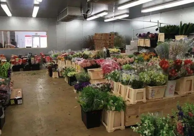 不同種類的鮮花對冷庫溫度的要求一樣嗎？